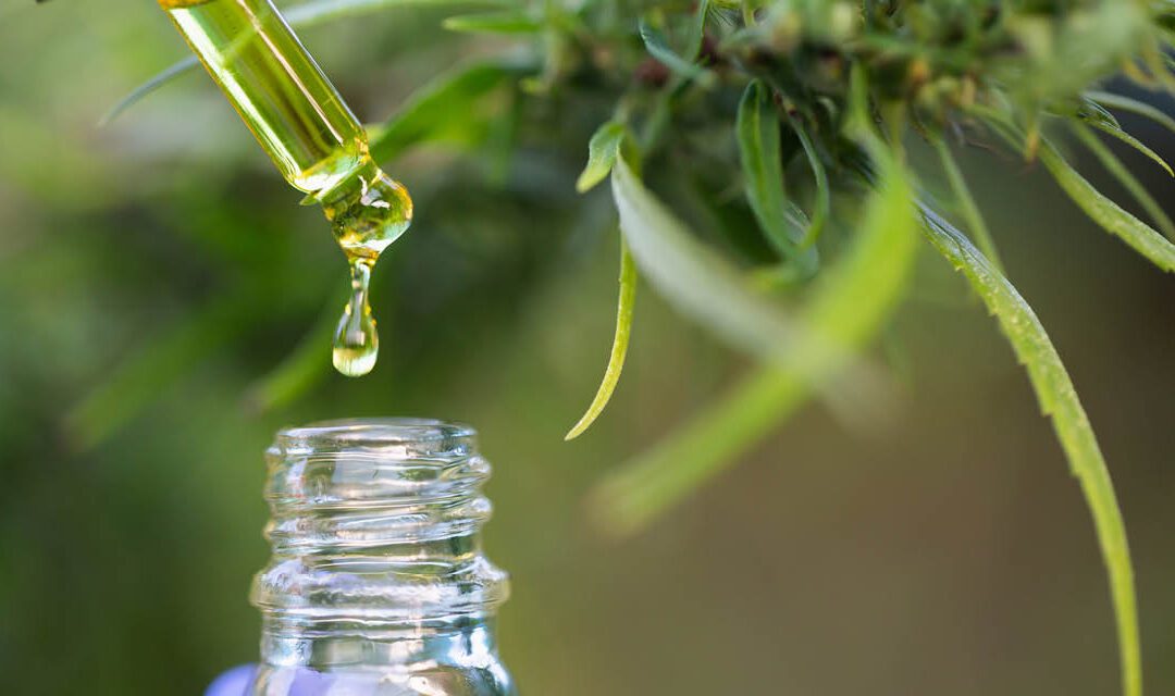 Meet the New Phytocannabinoids