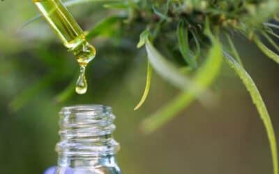Meet the New Phytocannabinoids